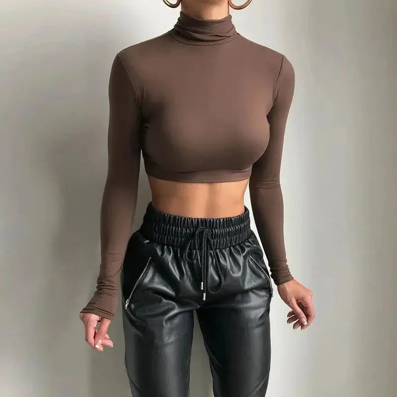 Solid Long Sleeve Turtleneck Crop Top